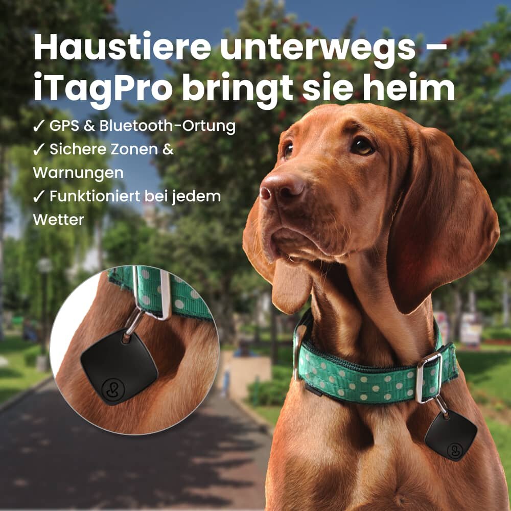 CartySavings image
